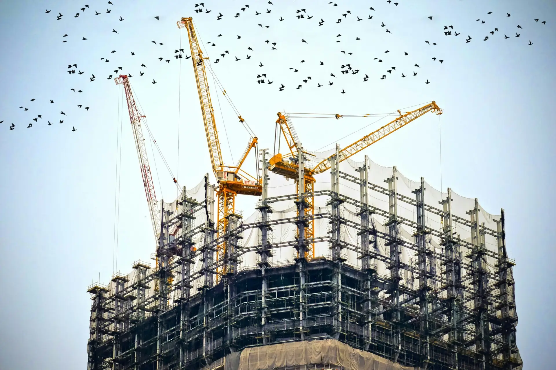 From Design to Delivery: How Ulike Supports Project-Based Orders 1